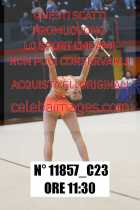 11857_C23