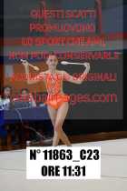 11863_C23