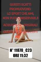 11878_C23