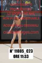 11885_C23