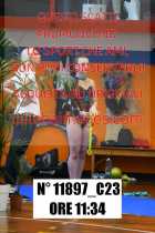 11897_C23