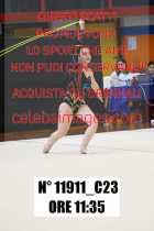 11911_C23