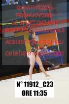 11912_C23