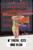 11920_C23
