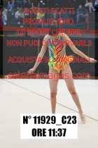 11929_C23