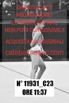 11931_C23