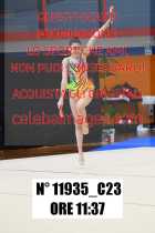 11935_C23