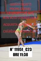 11951_C23