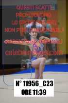 11956_C23