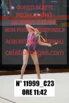 11999_C23