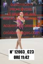 12003_C23