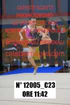 12005_C23