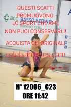 12006_C23