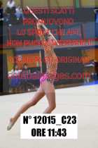 12015_C23