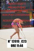 12019_C23