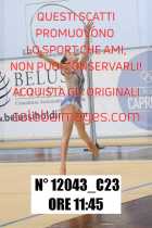 12043_C23