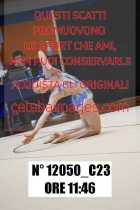 12050_C23