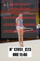 12051_C23