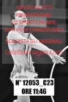 12053_C23