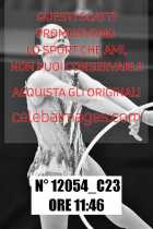 12054_C23