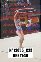 12055_C23