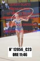 12056_C23
