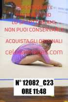 12082_C23