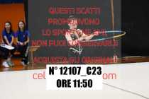 12107_C23