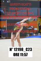 12198_C23