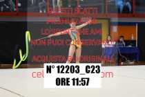 12203_C23