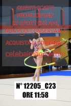 12205_C23