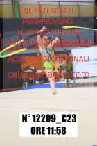 12209_C23
