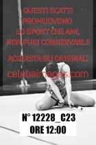 12228_C23