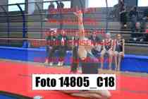 14805_C18
