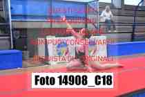 14908_C18