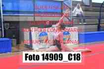 14909_C18