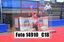 14910_C18