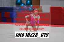 16223_C19