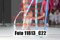 11813_C22