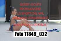 11849_C22