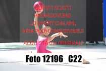 12196_C22