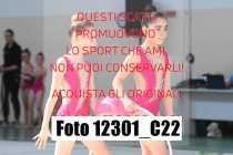 12301_C22