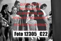 12305_C22