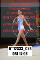 12333_C23