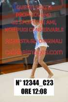 12344_C23