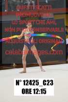 12425_C23