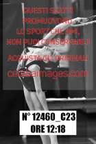 12460_C23