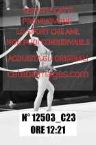 12503_C23