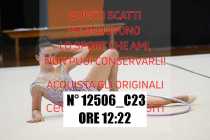 12506_C23