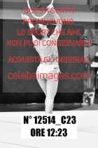 12514_C23